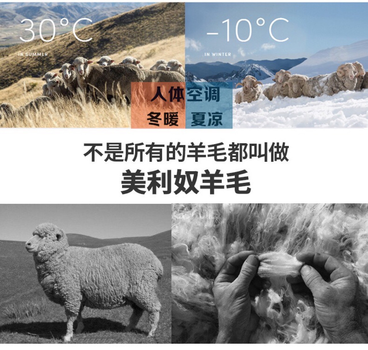 32公支2股美丽奴羊毛纱线白色可染色纱 美丽诺羊毛纱