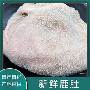 ����÷��¹�l���r¹���Լ��r�����r¹��¹��ֱ�l�F؛�������r¹��