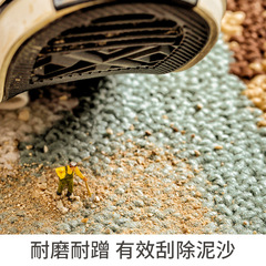 European-style household door dust-removal entry floor mats kitchen balcony water-absorbent anti-slip door mats wear-resistant door mats