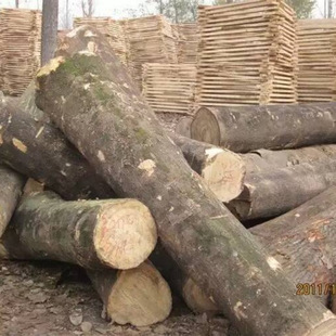 �״�ľԭľ �״�ľľ��� ��ɰ״�ľ �S�����l��ľ��ľ���