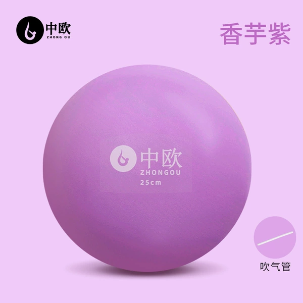 Frosted Buttock Ball 25cm-Purple Comes with blow tube
