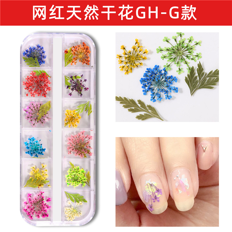 Nuevo estilo japonés flor seca de uñas 12 rejilla larga caja Ziyang flor estrellado Margarita flor eterna flor seca de uñas