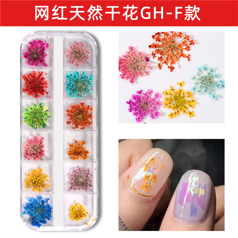 Nuevo estilo japonés flor seca de uñas 12 rejilla larga caja Ziyang flor estrellado Margarita flor eterna flor seca de uñas