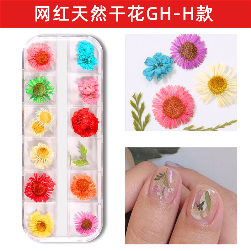Nuevo estilo japonés flor seca de uñas 12 rejilla larga caja Ziyang flor estrellado Margarita flor eterna flor seca de uñas