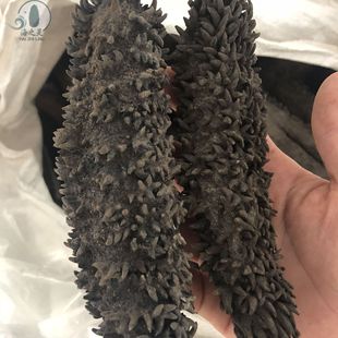 ���l��÷����С÷���̅�3-4�^��ը�u÷���� �������l���L��ֱ����