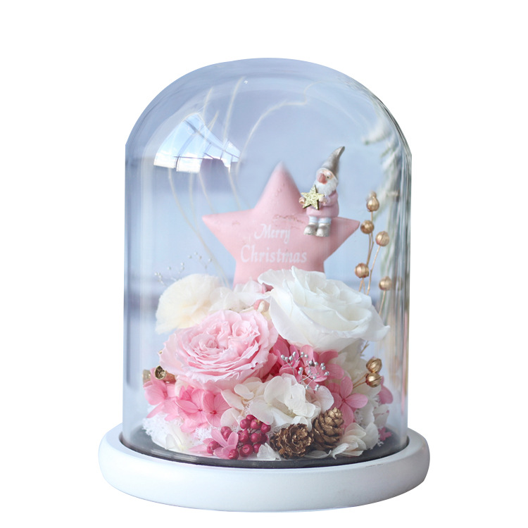 Flor Eterna Cubierta de Cristal, Regalo de San Valentín de Amazon, Rosa Estrella de Navidad, Regalo Festivo, Producto Terminado, Romántico