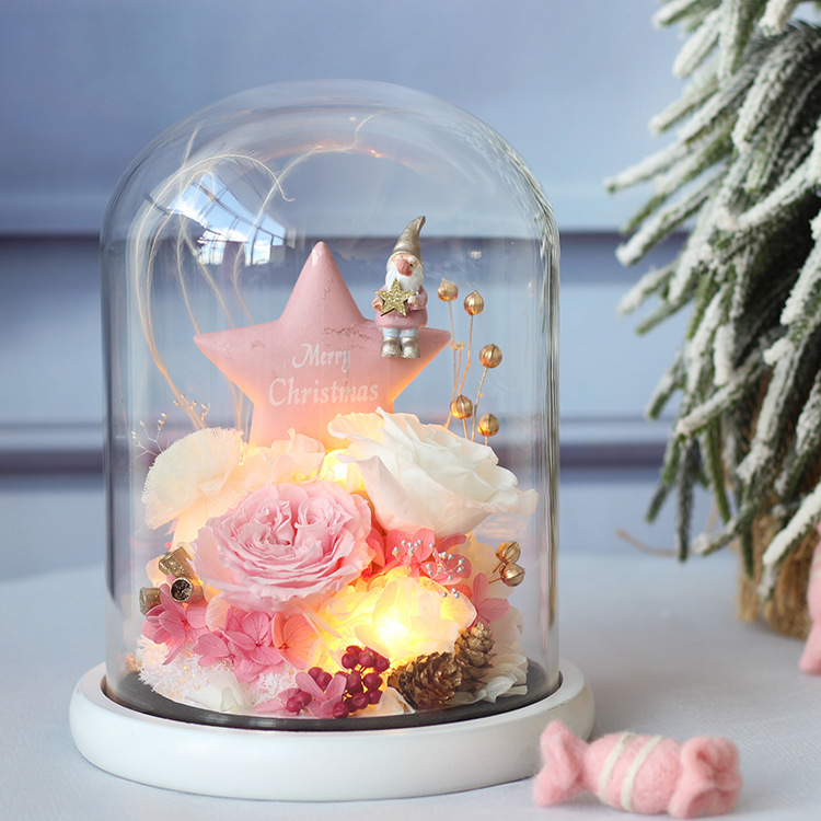 Flor Eterna Cubierta de Cristal, Regalo de San Valentín de Amazon, Rosa Estrella de Navidad, Regalo Festivo, Producto Terminado, Romántico