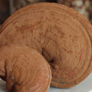 �`֥ ��֥��  ��֥  �|���`֥