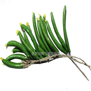 �����S�Ϲ������r��Ժ�b�������ĭ�����滨�~�ٷ���ֲ�ａ��