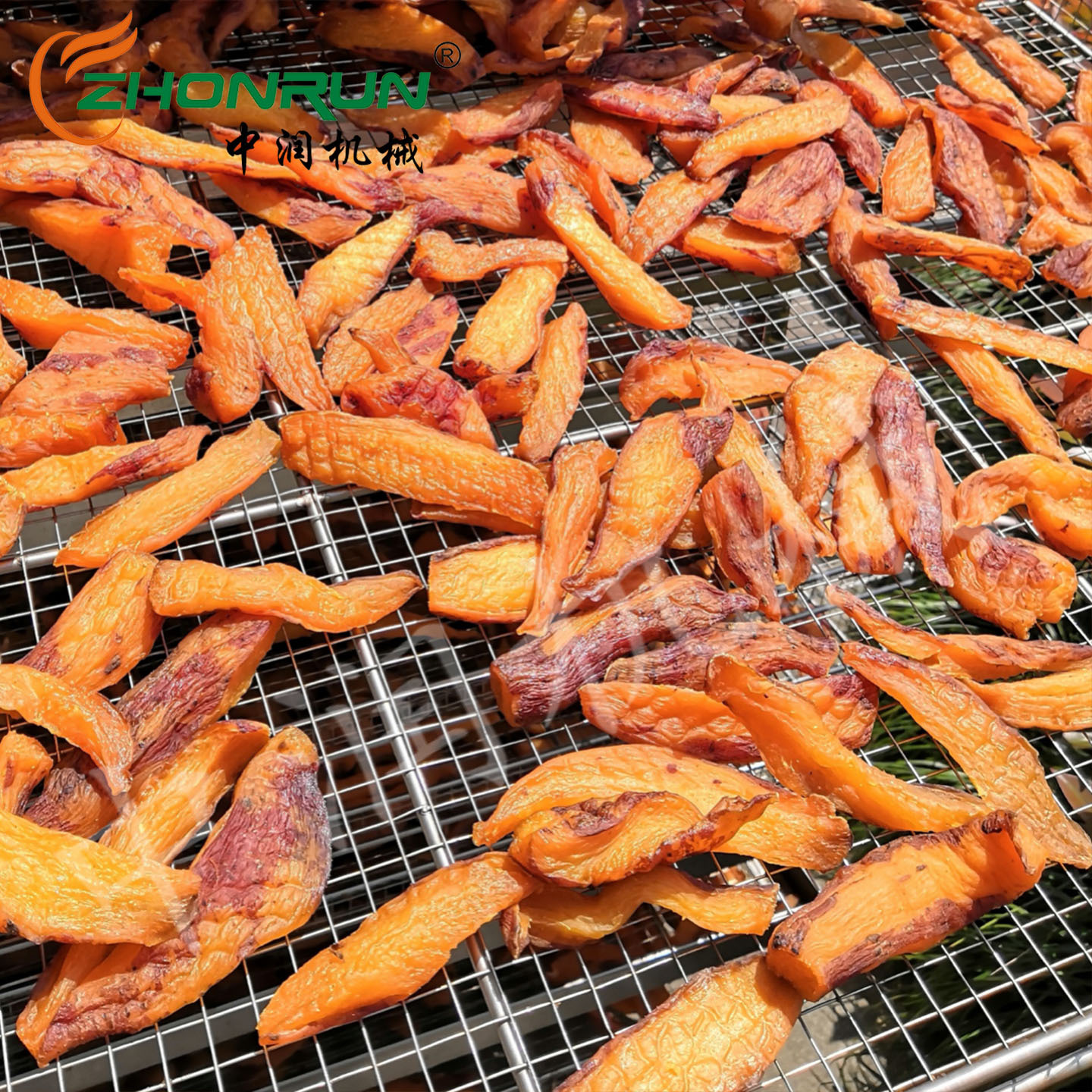 地瓜干香甜软糯的糖化机组 负压真空糖化罐 渍渗设备