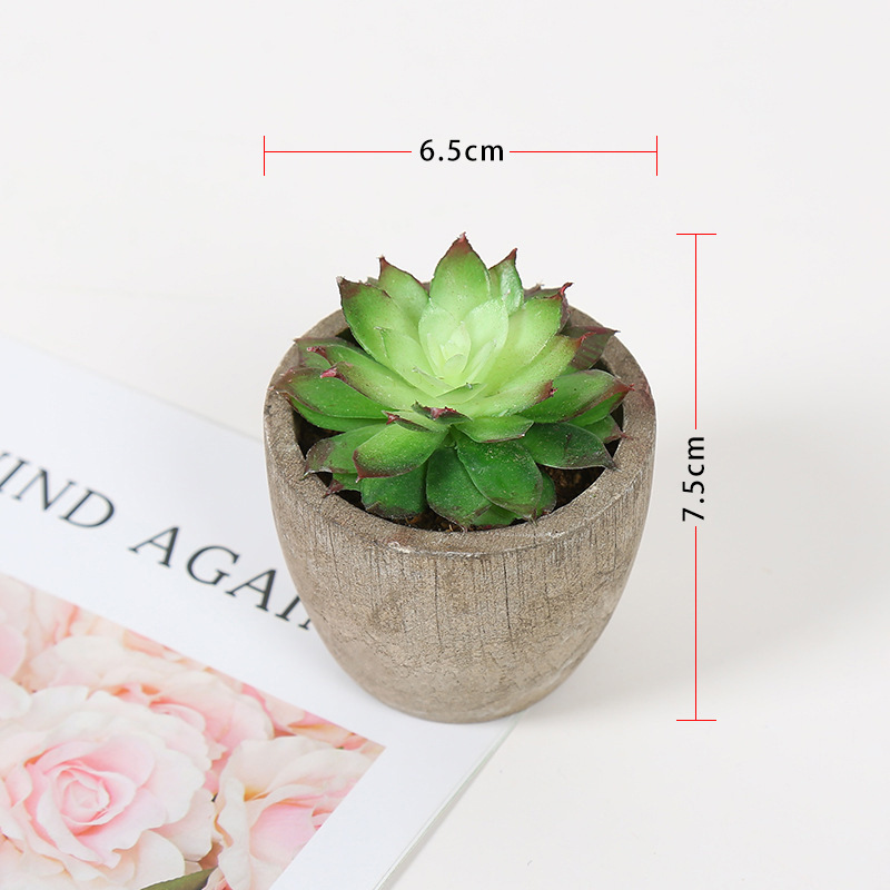 Transfronteriza dedicada simulación pulpa suculenta pequeña simulación de bonsai en maceta fabricantes de plantas suculentas pueden producir según sea necesario
