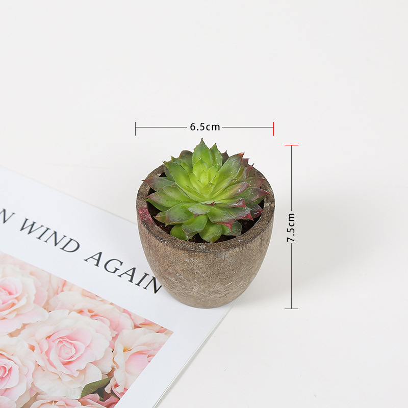 Transfronteriza dedicada simulación pulpa suculenta pequeña simulación de bonsai en maceta fabricantes de plantas suculentas pueden producir según sea necesario