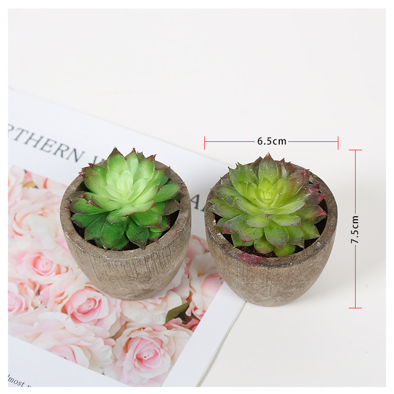 Transfronteriza dedicada simulación pulpa suculenta pequeña simulación de bonsai en maceta fabricantes de plantas suculentas pueden producir según sea necesario