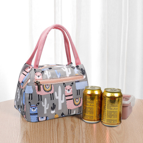 New Fashion Zipper Tote Insulated Bag for Women, Cartoon Waterproof Bento Bag, Aluminum Foil Insulated Lunch Bag
