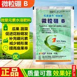 进口硼肥 微粒硼蔬菜葡萄草莓辣椒通用果树微量元素水溶肥叶面肥