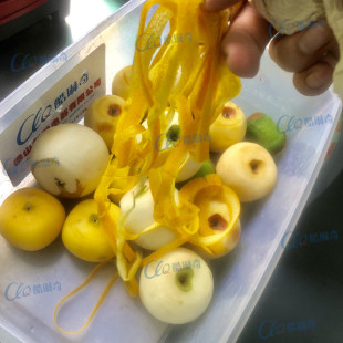 d�V�|�����t����Ƥ�C �Ĵ�����Ě�ȹ�Ƥ�C ȫ�Ԅӳ�����Ƭ�C�O��