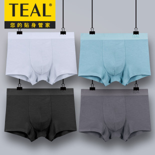 TEAL�¹�ˇ��ʿ�o�ۃ�ѝĪ������ʿƽ��ѝ�����Ӵ�a�Ѓ�ѝ͸��