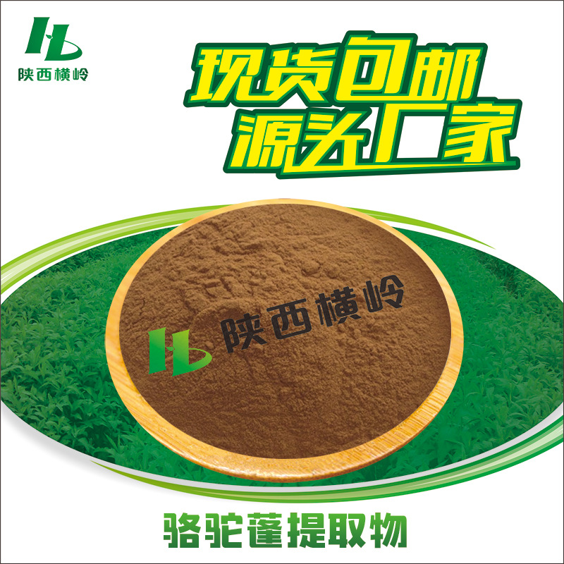 骆驼蓬提取物 30:1骆驼蓬粉 骆驼蓬皂甙 水溶 骆驼蓬碱 量大价优