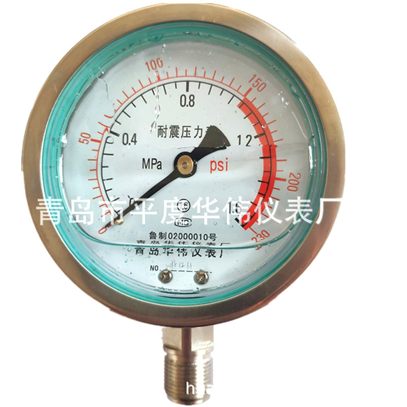 不锈钢耐震压力表Yfn100-1.6MPa 油表 耐震压力表 全不锈钢表厂家