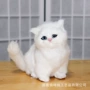 桌面男女摄影仿真玩具