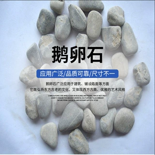 鹅卵石河卵石鱼缸花盆小石头理石过滤率料景观用 厂家销售