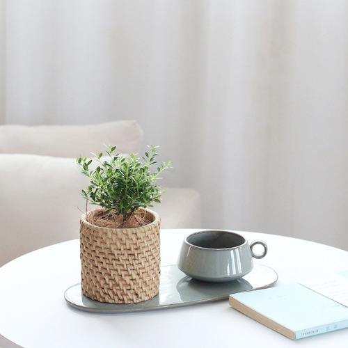 Pastoral style creative personality cement flower pot imitation straw wool pattern indoor green plant pot home decoration ornaments