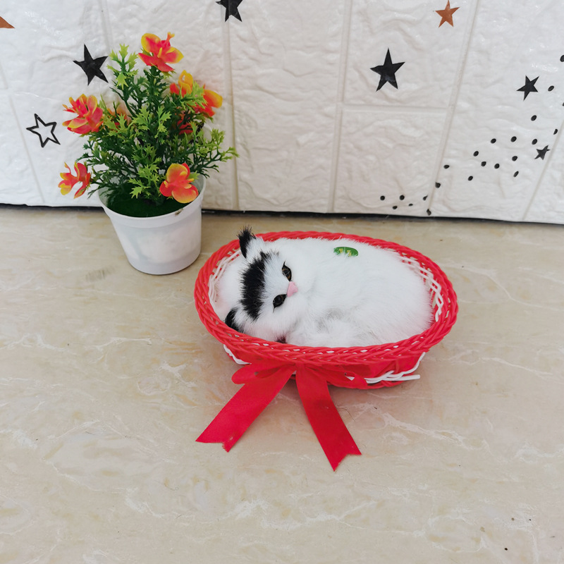 그것은 큰 빨간 큰 프레임 검은 머리 고양이