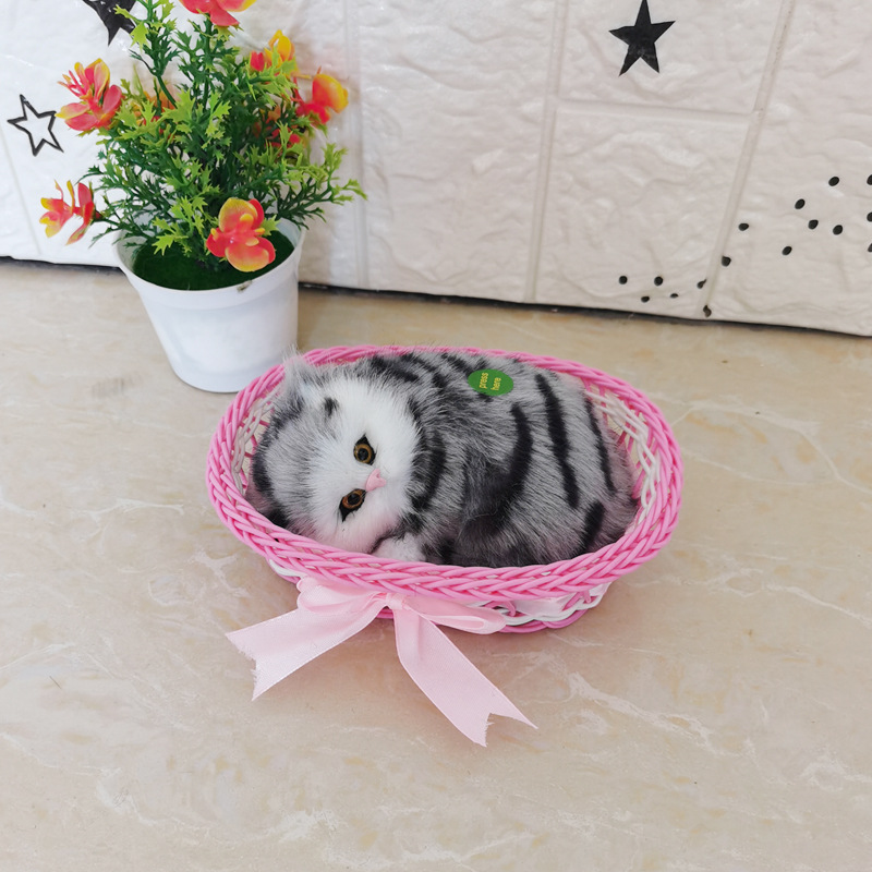 그것은 핑크 큰 상자 사향 고양이라고 불린다.