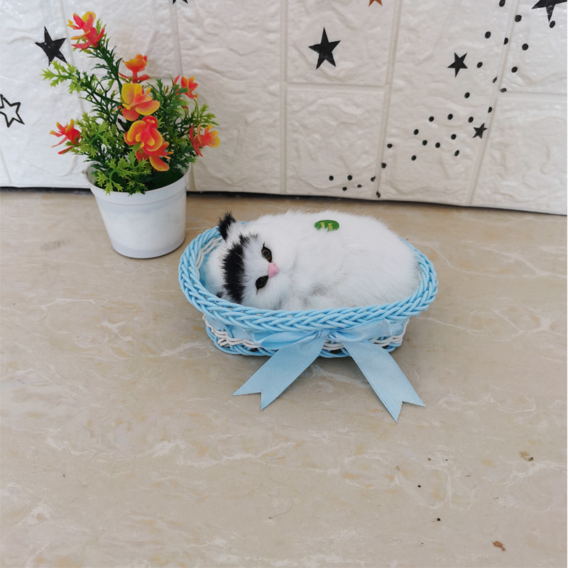 파란색 큰 프레임을 호출합니다 검은 머리 고양이