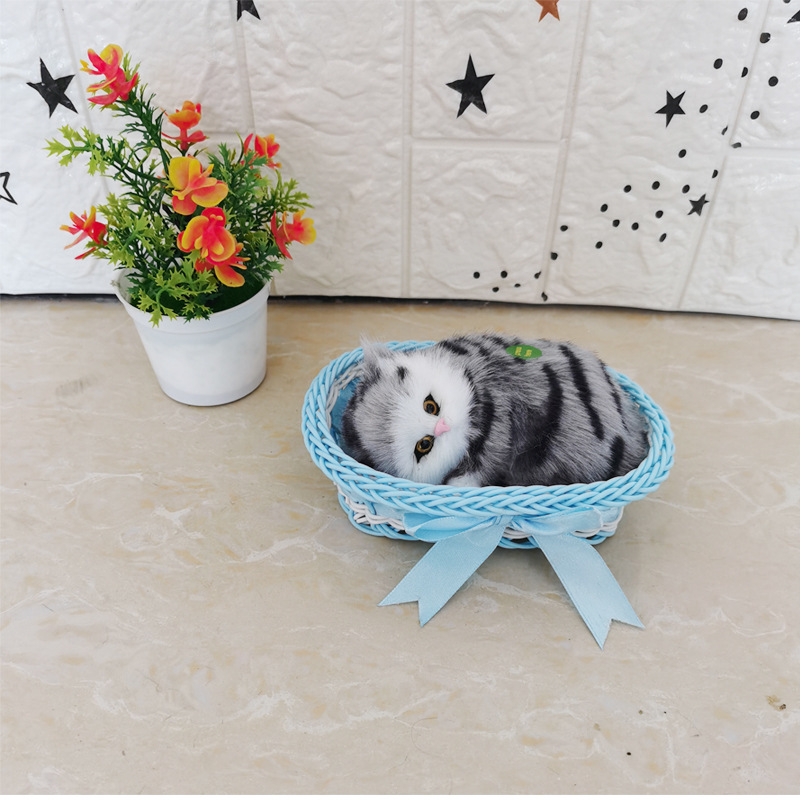 그것은 파란 상자 사향 고양이라고 불릴 것이다.