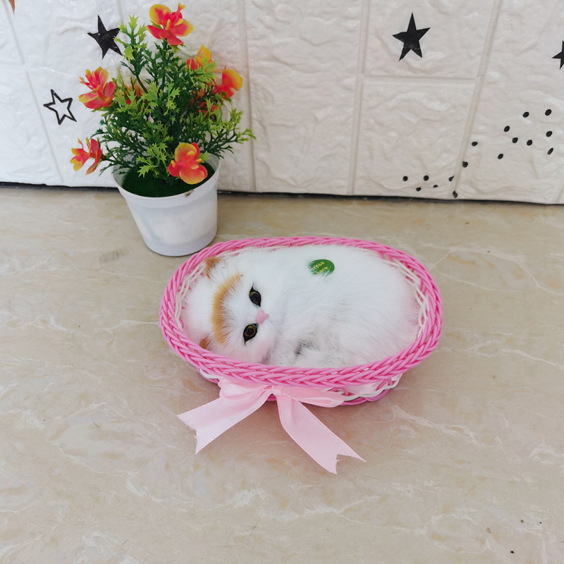 그것은 핑크 큰 상자 노란 머리 고양이라고합니다.