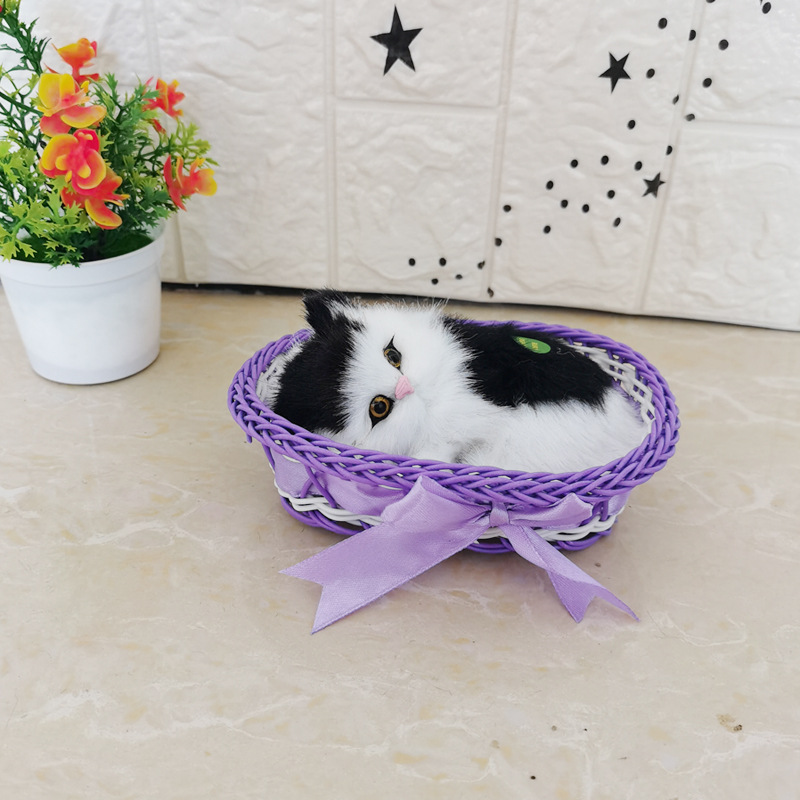 퍼플 큰 프레임 흑백 고양이라고 불릴 것입니다