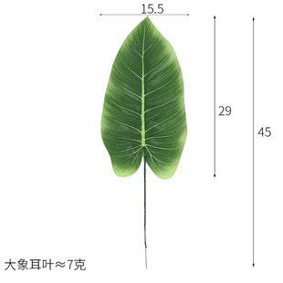 滨ҾbGֲcԷֲ҃bކƬ˽ֲ~