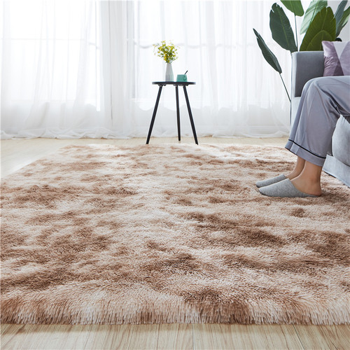Simple plush carpet bedroom full room cute bedside blanket Nordic living room sofa coffee table mat thick floor mat