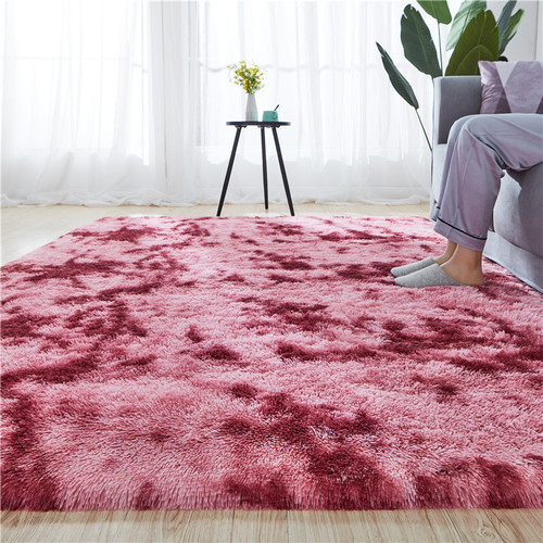 Simple plush carpet bedroom full room cute bedside blanket Nordic living room sofa coffee table mat thick floor mat