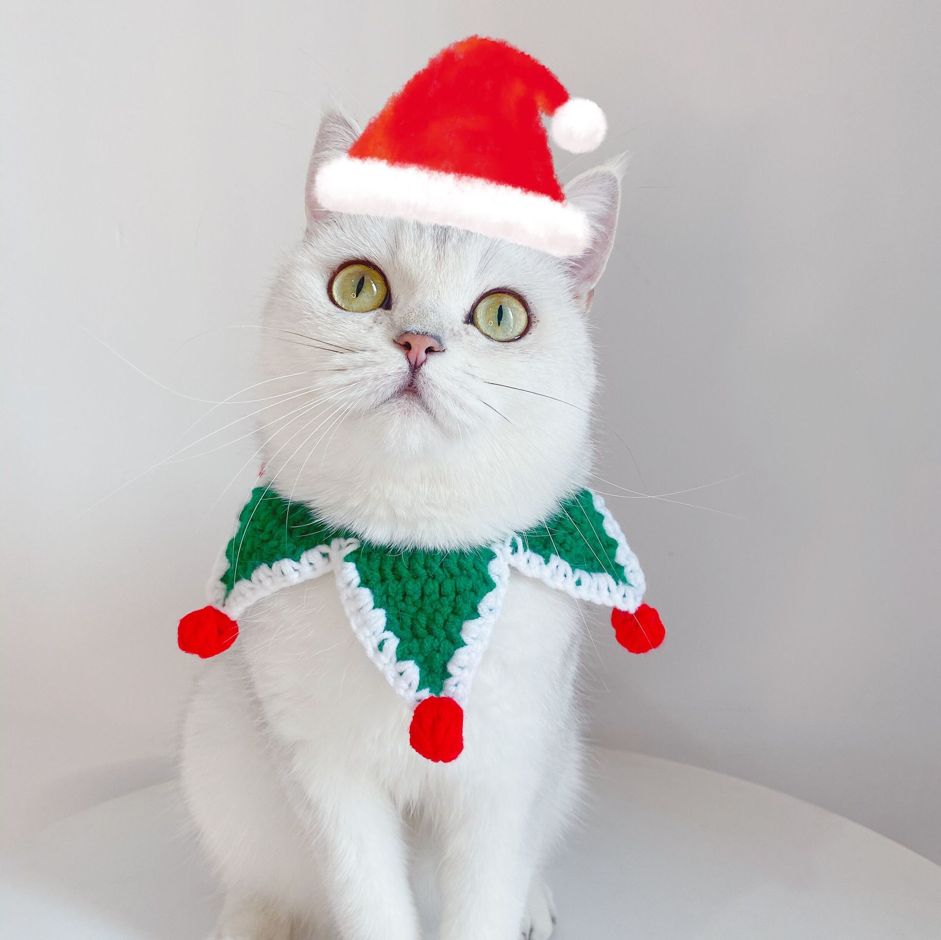 Pet trico Navidad pentagramas felinos perros lana trenzada collar accesorios pet pet pet collar pet