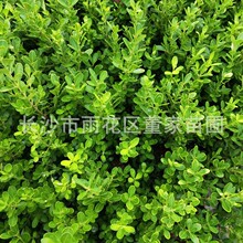 �������l���۹����S�� �G���ر�С�� �����S�� ȸ���S�� �Ԯa���N