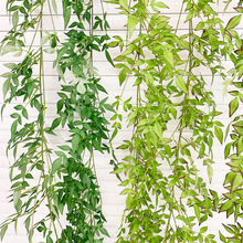 1.75���������L�ٻ�c�b��ٷ��泣���ٹܵ��p�@�G�}�ٗl������