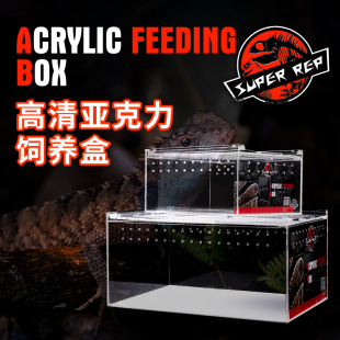 SuperRep���x��������B�Ќ�����֩���،m���ܼ��x�Q������������