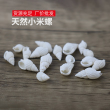 ��Ȼ����ؐ��500��С�������Ʒdiy�ֹ�Ư��ƿ΢���^���Բ������l