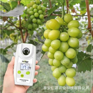 ���ѹ����ĺ��������ѹ�����o���������v�����������ζ�������