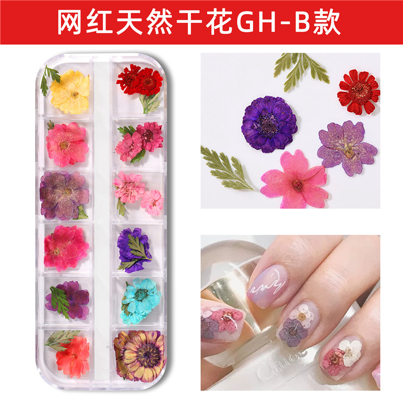 Nuevo estilo japonés flor seca de uñas 12 rejilla larga caja Ziyang flor estrellado Margarita flor eterna flor seca de uñas