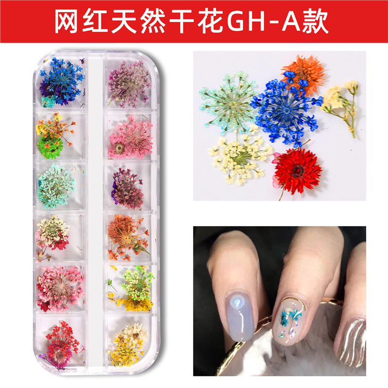 Nuevo estilo japonés flor seca de uñas 12 rejilla larga caja Ziyang flor estrellado Margarita flor eterna flor seca de uñas
