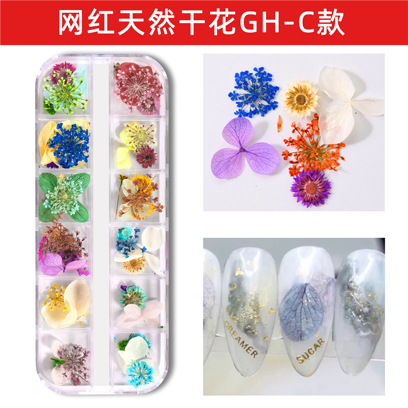 Nuevo estilo japonés flor seca de uñas 12 rejilla larga caja Ziyang flor estrellado Margarita flor eterna flor seca de uñas