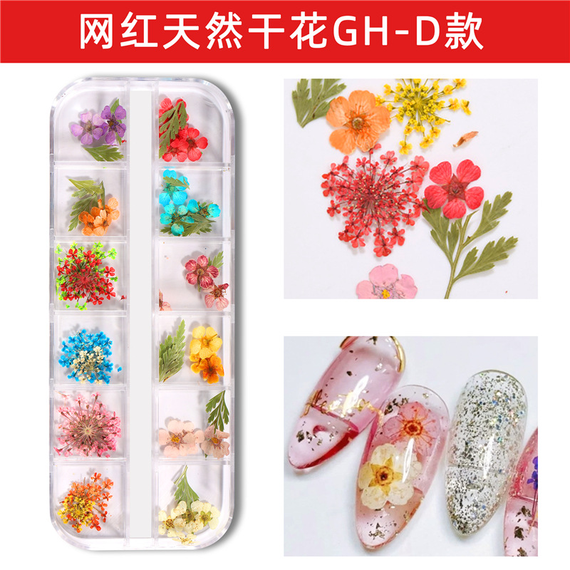Nuevo estilo japonés flor seca de uñas 12 rejilla larga caja Ziyang flor estrellado Margarita flor eterna flor seca de uñas