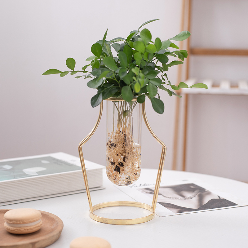 Jarrón de cristal estilo INS, soporte de flores de cristal con arte en hierro dorado para sala de estar, cafetería, mesa de centro, flores secas, flores hidropónicas, plantas verdes.