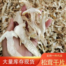 云南楷美香格里拉松茸干片菌菇干货2025新货大货批发野生