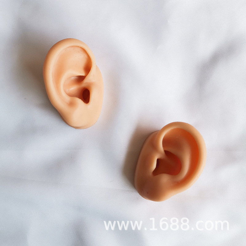 Soft Silicone Simulation of Human Ear and Ear Model Ear Stud Earphone Mold Medical Teaching Display Props Soft Silicone Simulation of Human Ear and Ear Model Ear Stud Earphone Mold Medical Teaching Display Props
