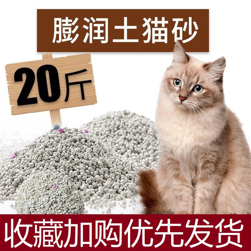 南和县爪萌宠物食品店