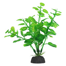 �~���b�  �쾰ǰ�о��ݷ���ˮ�� ˮ�����쾰 �~ˮ��ֲ��[�����l